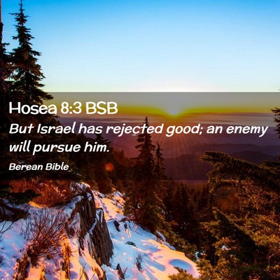 Picture 02 - Hosea 8:3 BSB - But Israel has rejected good; an enemy will - Bible Verse Picture