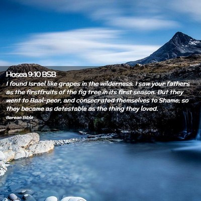 Picture 02 - Hosea 9:10 BSB - I found Israel like grapes in the wilderness. I - Bible Verse Picture