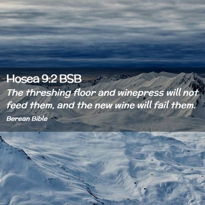 Picture 02 - Hosea 9:2 BSB - The threshing floor and winepress will not feed - Bible Verse Picture