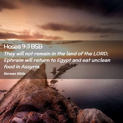 Picture 02 - Hosea 9:3 BSB - They will not remain in the land of the LORD; - Bible Verse Picture
