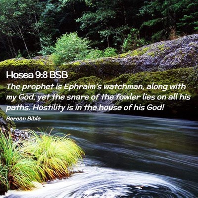 Picture 02 - Hosea 9:8 BSB - The prophet is Ephraim’s watchman, along with - Bible Verse Picture