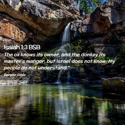 Picture 02 - Isaiah 1:3 BSB - The ox knows its owner, and the donkey its - Bible Verse Picture