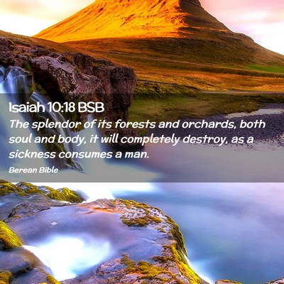 Picture 02 - Isaiah 10:18 BSB - The splendor of its forests and orchards, both - Bible Verse Picture