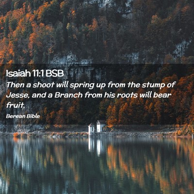 Picture 02 - Isaiah 11:1 BSB - Then a shoot will spring up from the stump of - Bible Verse Picture