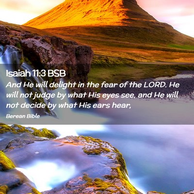 Picture 02 - Isaiah 11:3 BSB - And He will delight in the fear of the LORD. He - Bible Verse Picture