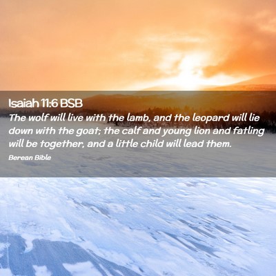 Picture 02 - Isaiah 11:6 BSB - The wolf will live with the lamb, and the leopard - Bible Verse Picture