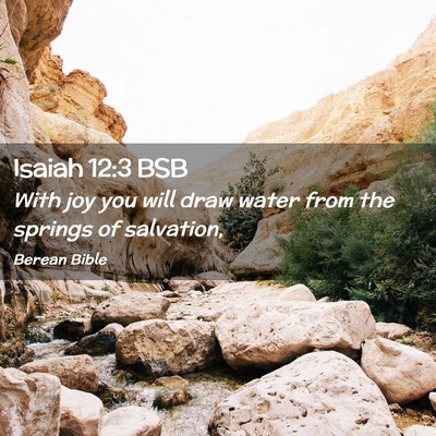 Picture 02 - Isaiah 12:3 BSB - With joy you will draw water from the springs of - Bible Verse Picture