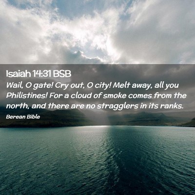 Picture 02 - Isaiah 14:31 BSB - Wail, O gate! Cry out, O city! Melt away, all you - Bible Verse Picture