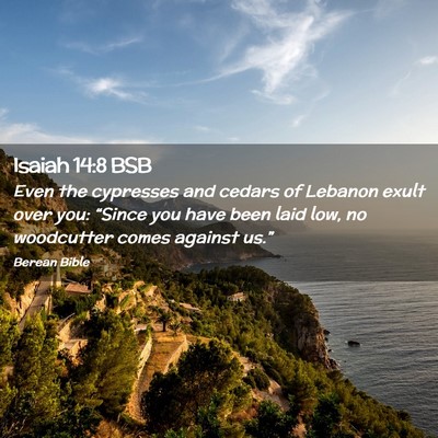 Picture 02 - Isaiah 14:8 BSB - Even the cypresses and cedars of Lebanon exult - Bible Verse Picture