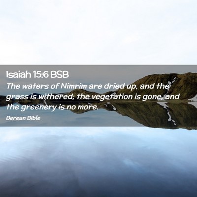Picture 02 - Isaiah 15:6 BSB - The waters of Nimrim are dried up, and the grass - Bible Verse Picture