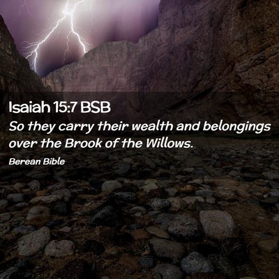 Picture 02 - Isaiah 15:7 BSB - So they carry their wealth and belongings over - Bible Verse Picture