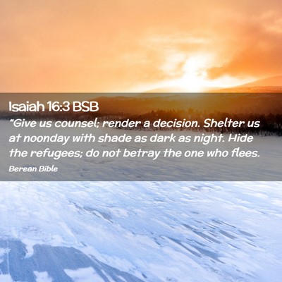 Picture 02 - Isaiah 16:3 BSB - “Give us counsel; render a decision. Shelter us - Bible Verse Picture
