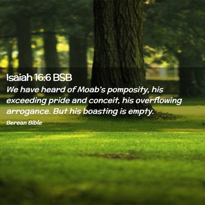 Picture 02 - Isaiah 16:6 BSB - We have heard of Moab’s pomposity, his - Bible Verse Picture