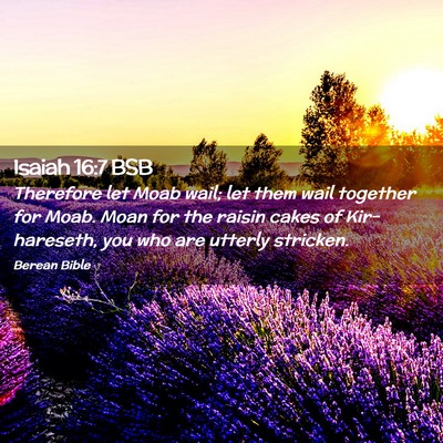 Picture 02 - Isaiah 16:7 BSB - Therefore let Moab wail; let them wail together - Bible Verse Picture