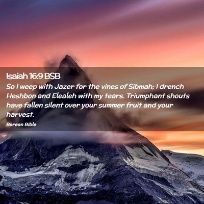 Picture 02 - Isaiah 16:9 BSB - So I weep with Jazer for the vines of Sibmah; I - Bible Verse Picture