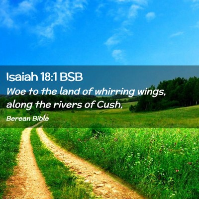 Picture 02 - Isaiah 18:1 BSB - Woe to the land of whirring wings, along the - Bible Verse Picture