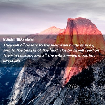 Picture 02 - Isaiah 18:6 BSB - They will all be left to the mountain birds of - Bible Verse Picture