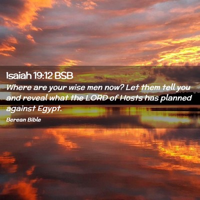 Picture 02 - Isaiah 19:12 BSB - Where are your wise men now? Let them tell you - Bible Verse Picture