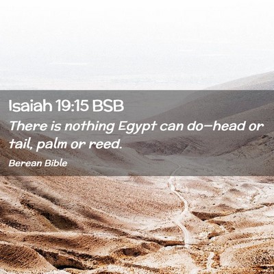 Picture 02 - Isaiah 19:15 BSB - There is nothing Egypt can do—head or tail, - Bible Verse Picture