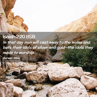 Picture 02 - Isaiah 2:20 BSB - In that day men will cast away to the moles and - Bible Verse Picture
