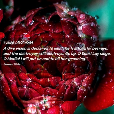 Picture 02 - Isaiah 21:2 BSB - A dire vision is declared to me: “The traitor - Bible Verse Picture