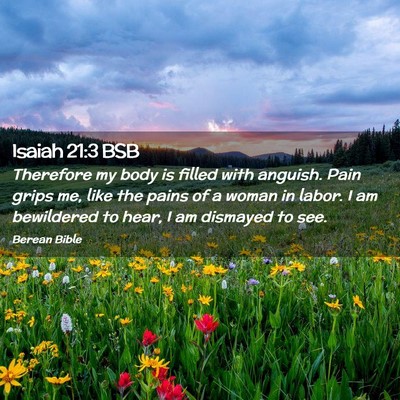 Picture 02 - Isaiah 21:3 BSB - Therefore my body is filled with anguish. Pain - Bible Verse Picture