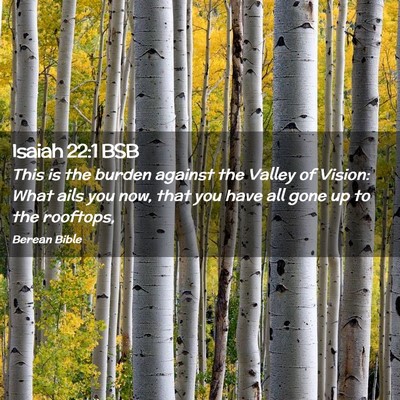 Picture 02 - Isaiah 22:1 BSB - This is the burden against the Valley of Vision: - Bible Verse Picture