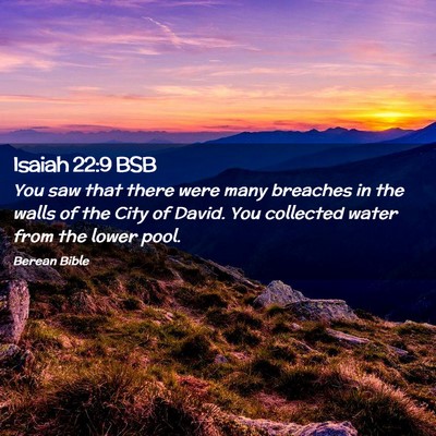 Picture 02 - Isaiah 22:9 BSB - You saw that there were many breaches in the - Bible Verse Picture