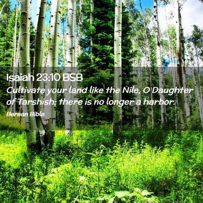 Picture 02 - Isaiah 23:10 BSB - Cultivate your land like the Nile, O Daughter of - Bible Verse Picture