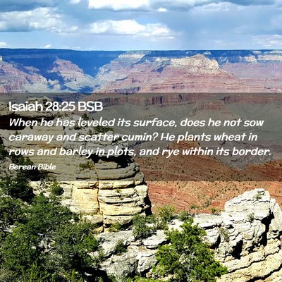 Picture 02 - Isaiah 28:25 BSB - When he has leveled its surface, does he not sow - Bible Verse Picture