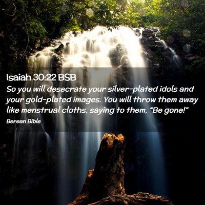 Picture 02 - Isaiah 30:22 BSB - So you will desecrate your silver-plated idols - Bible Verse Picture