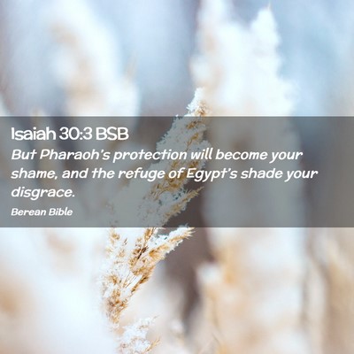 Picture 02 - Isaiah 30:3 BSB - But Pharaoh’s protection will become your - Bible Verse Picture