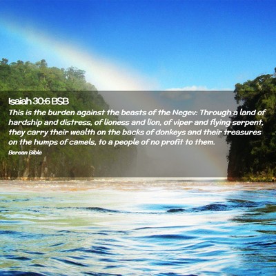 Picture 02 - Isaiah 30:6 BSB - This is the burden against the beasts of the - Bible Verse Picture