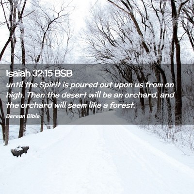 Picture 02 - Isaiah 32:15 BSB - until the Spirit is poured out upon us from on - Bible Verse Picture
