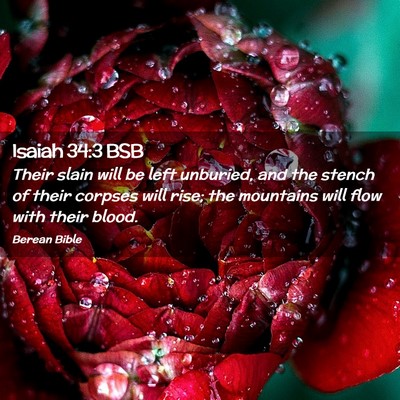 Picture 02 - Isaiah 34:3 BSB - Their slain will be left unburied, and the stench - Bible Verse Picture