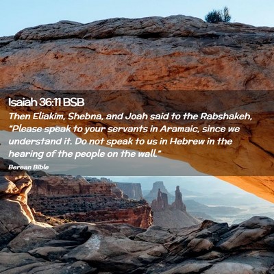 Picture 02 - Isaiah 36:11 BSB - Then Eliakim, Shebna, and Joah said to the - Bible Verse Picture