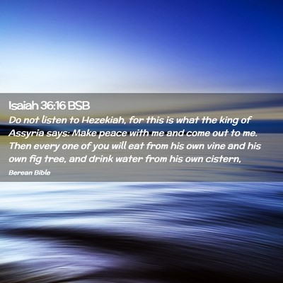 Picture 02 - Isaiah 36:16 BSB - Do not listen to Hezekiah, for this is what the - Bible Verse Picture