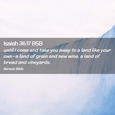 Picture 02 - Isaiah 36:17 BSB - until I come and take you away to a land like - Bible Verse Picture