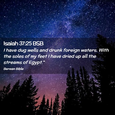Picture 02 - Isaiah 37:25 BSB - I have dug wells and drunk foreign waters. With - Bible Verse Picture