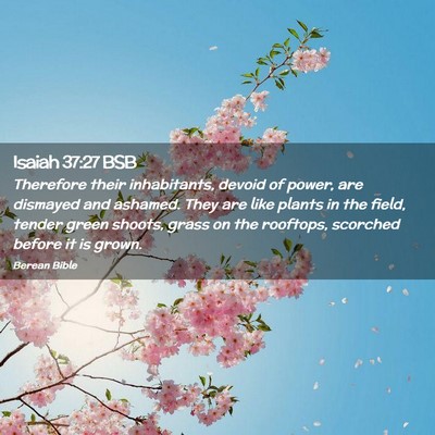 Picture 02 - Isaiah 37:27 BSB - Therefore their inhabitants, devoid of power, are - Bible Verse Picture