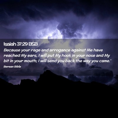 Picture 02 - Isaiah 37:29 BSB - Because your rage and arrogance against Me have - Bible Verse Picture