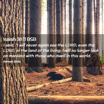 Picture 02 - Isaiah 38:11 BSB - I said, “I will never again see the LORD, even - Bible Verse Picture