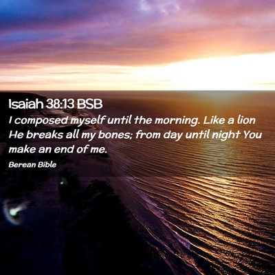 Picture 02 - Isaiah 38:13 BSB - I composed myself until the morning. Like a lion - Bible Verse Picture