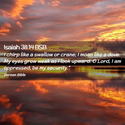 Picture 02 - Isaiah 38:14 BSB - I chirp like a swallow or crane; I moan like a - Bible Verse Picture