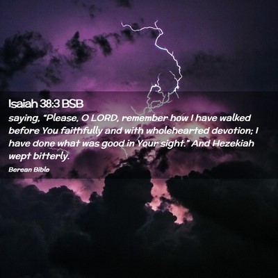 Picture 02 - Isaiah 38:3 BSB - saying, “Please, O LORD, remember how I have - Bible Verse Picture
