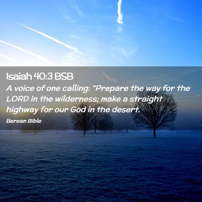Picture 02 - Isaiah 40:3 BSB - A voice of one calling: “Prepare the way for - Bible Verse Picture