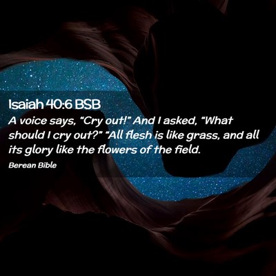 Picture 02 - Isaiah 40:6 BSB - A voice says, “Cry out!” And I asked, “What - Bible Verse Picture
