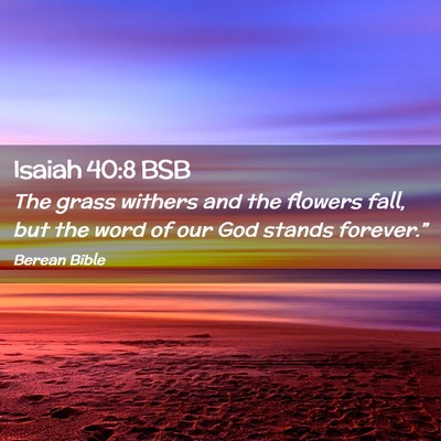 Picture 02 - Isaiah 40:8 BSB - The grass withers and the flowers fall, but the - Bible Verse Picture