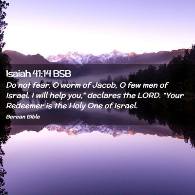 Picture 02 - Isaiah 41:14 BSB - Do not fear, O worm of Jacob, O few men of - Bible Verse Picture