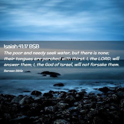 Picture 02 - Isaiah 41:17 BSB - The poor and needy seek water, but there is none; - Bible Verse Picture